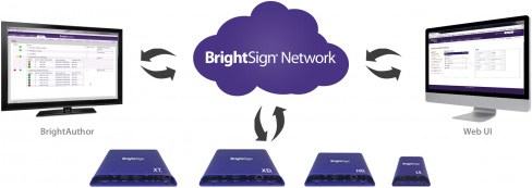 BrightSign networking