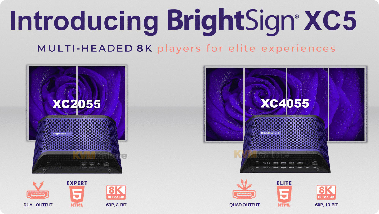 BrightSign XC5