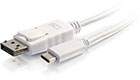 USB-C to DisplayPort Adapter Cable, White, 12 Feet
