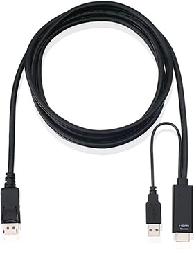 HDMI to DisplayPort Adapter-Cable, 10 Feet