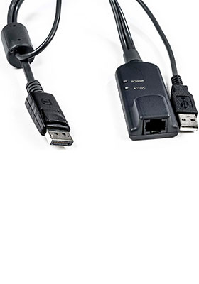 DisplayPort IQ Server Interface Module